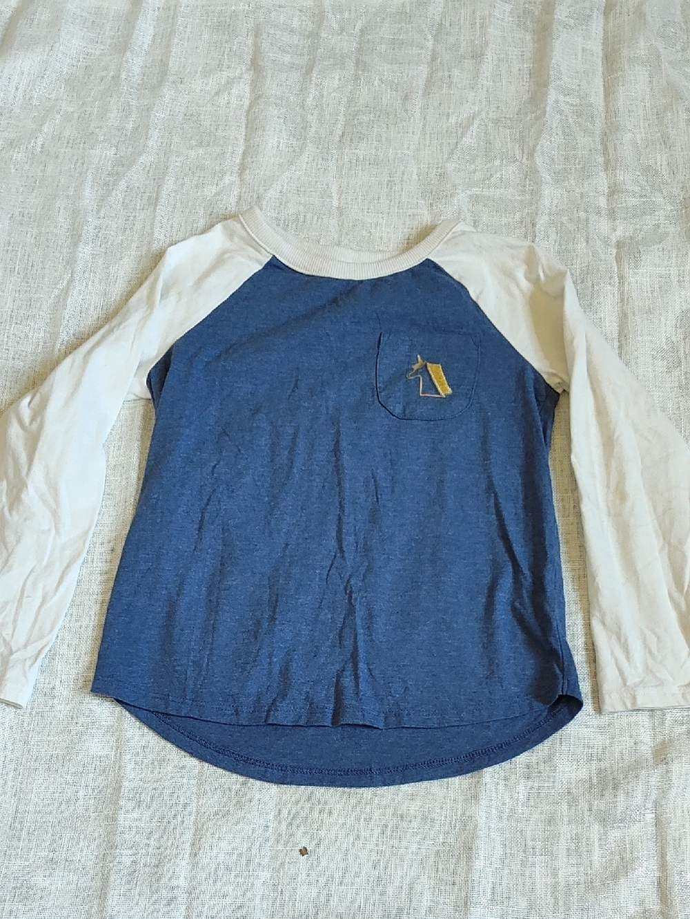 Cat & Jack Blue and White Raglan Long-Sleeve Tee with Pocket Graphic